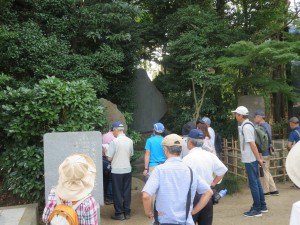 IMG_8802